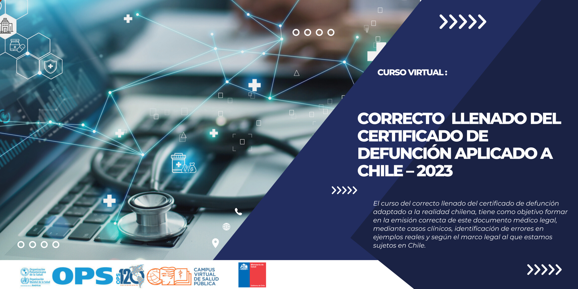 Aula Virtual CVSP-Países: Todos los cursos
